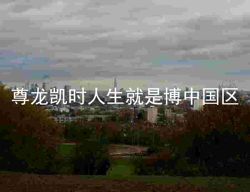 尊龙凯时人生就是博中国区