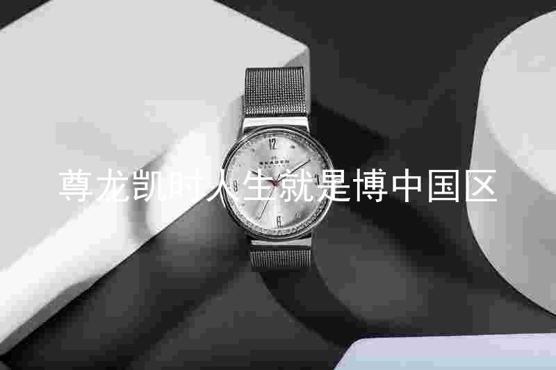 尊龙凯时人生就是博中国区