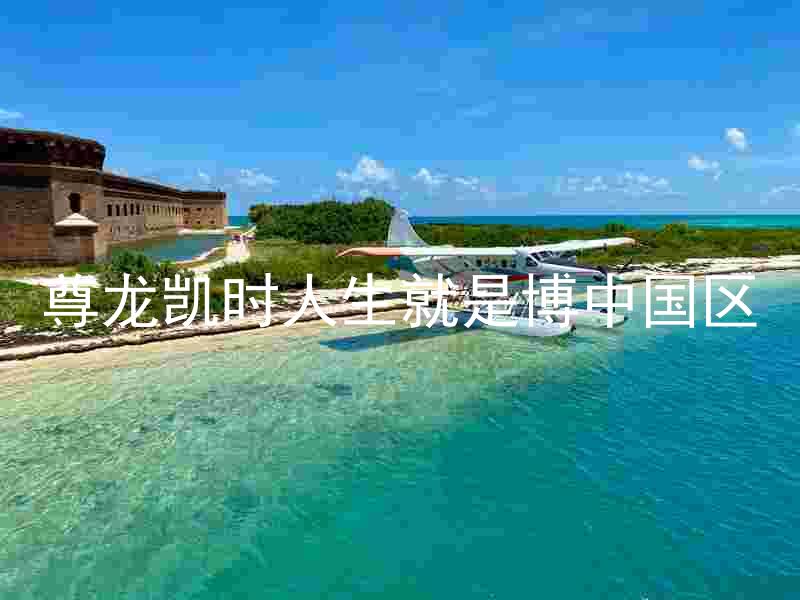 尊龙凯时人生就是博中国区