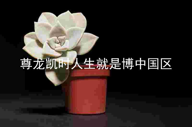 尊龙凯时人生就是博中国区