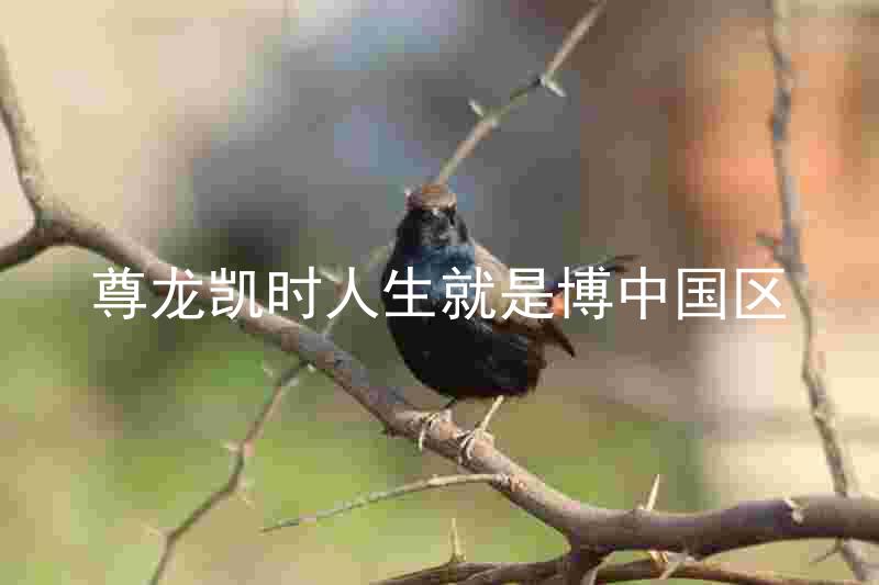 尊龙凯时人生就是博中国区