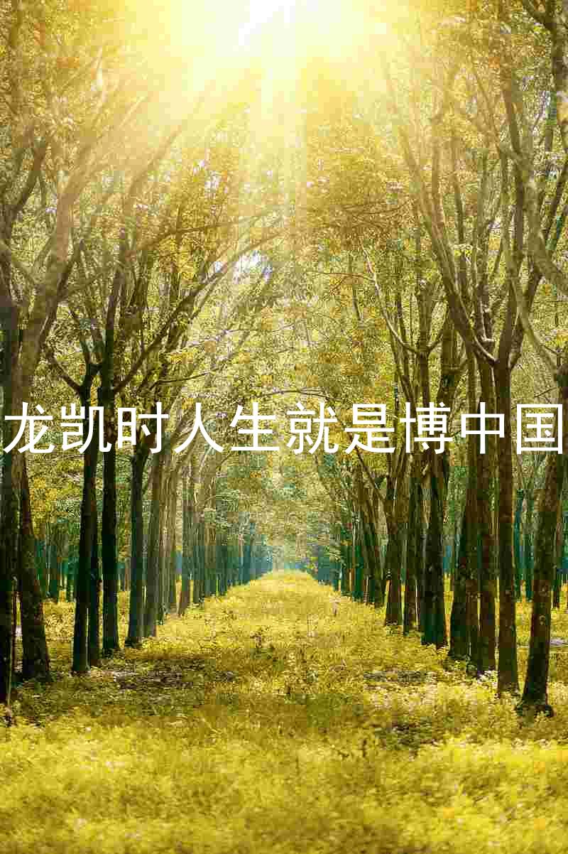 尊龙凯时人生就是博中国区