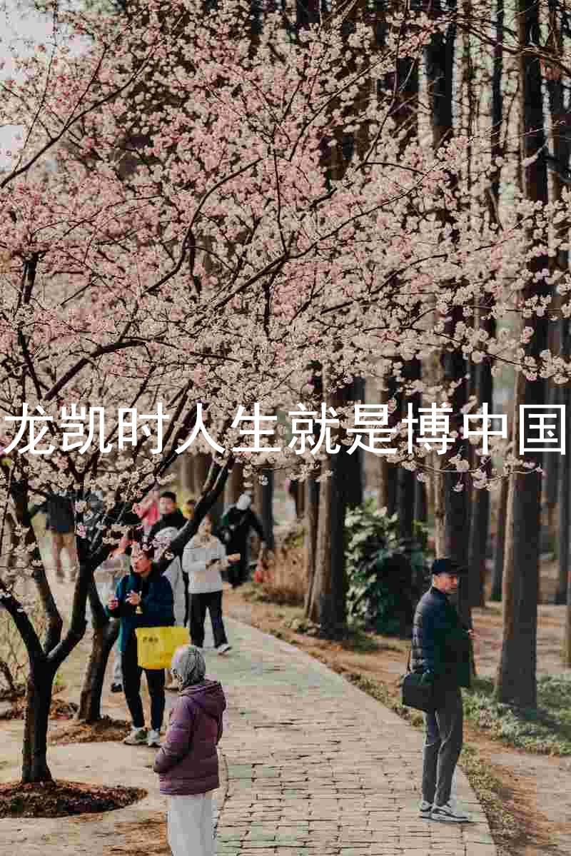 尊龙凯时人生就是博中国区
