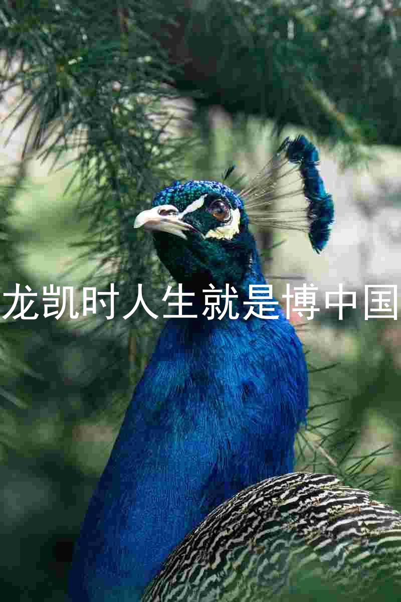 尊龙凯时人生就是博中国区