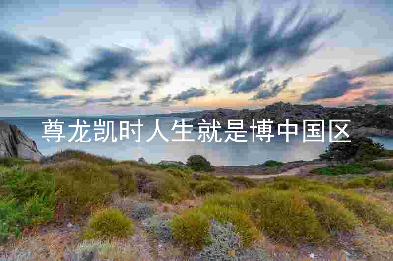 尊龙凯时人生就是博中国区