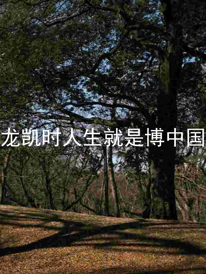 尊龙凯时人生就是博中国区
