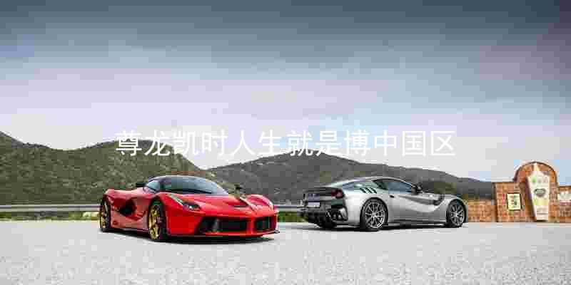 尊龙凯时人生就是博中国区