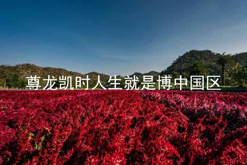 尊龙凯时人生就是博中国区